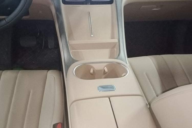 Used AION i60 2026 Model 530 Standard Edition Gear Lever