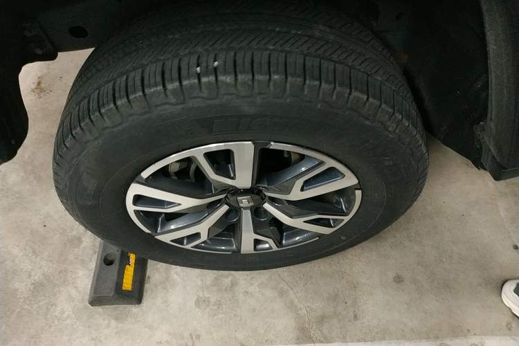 Used Tank 300 2024 2.0T Crosser
