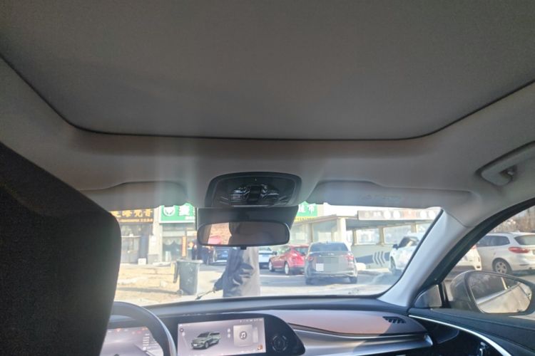 Used EXEED Lingyun 2024 300T Two-Wheel Drive Starlight Edition Headliner