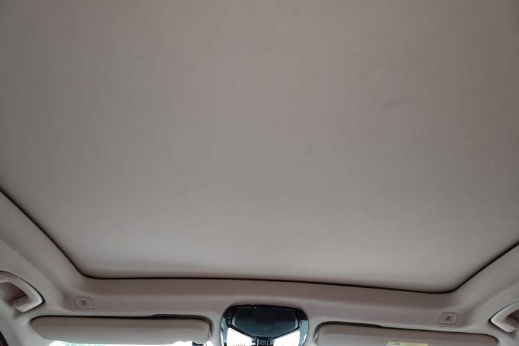 Used BMW iX3 2022 Leading Type Headliner