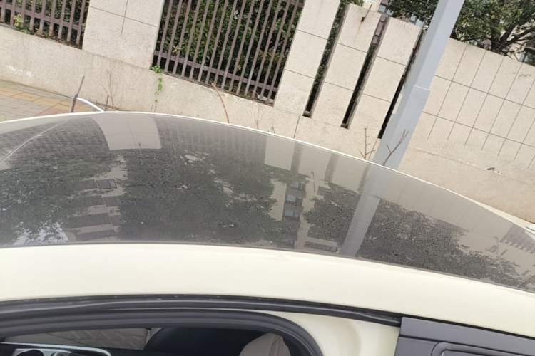 Used BYD Dolphin 2021 405 km Fashion Edition Roof