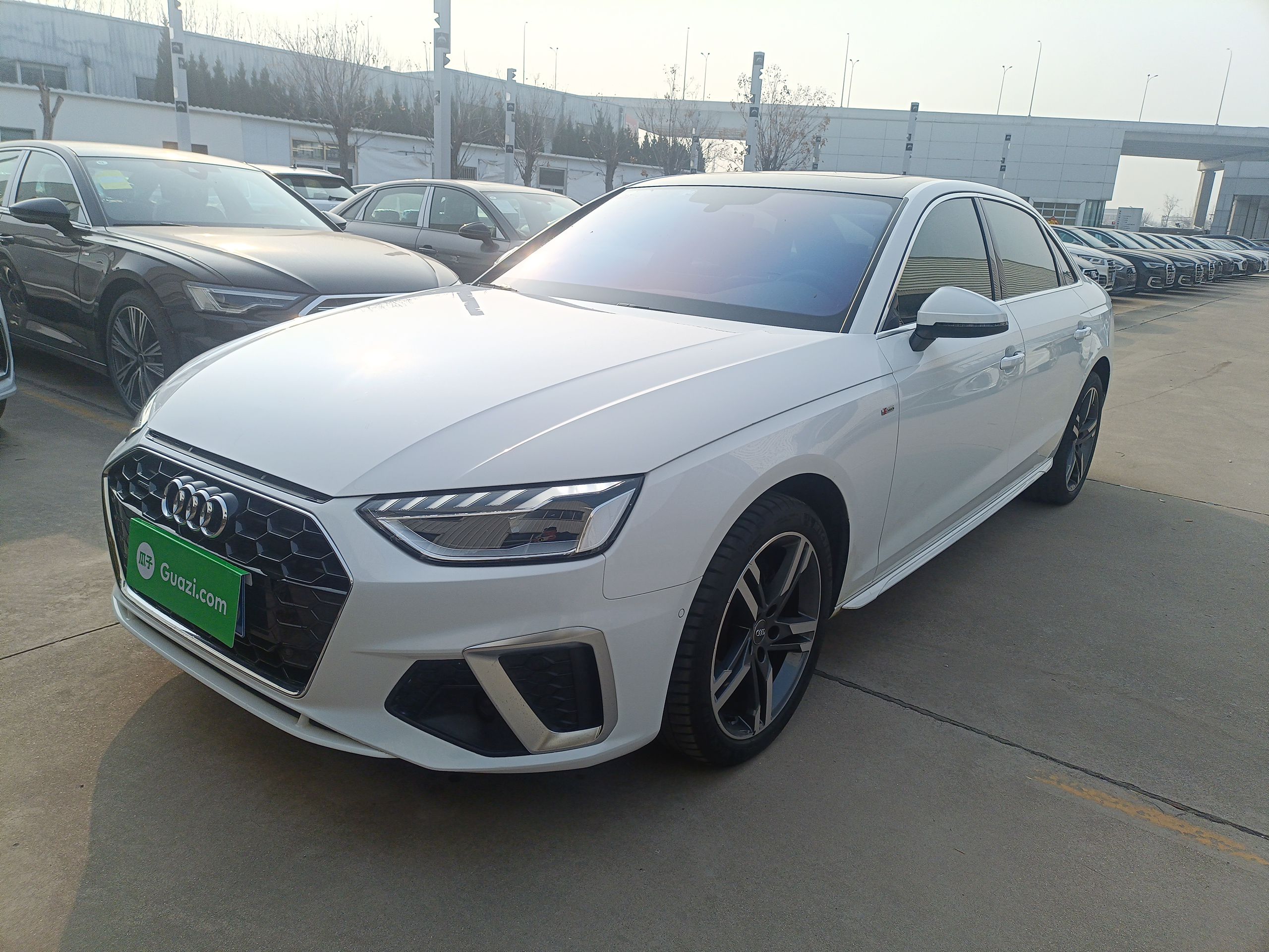 Parte inferior delantera