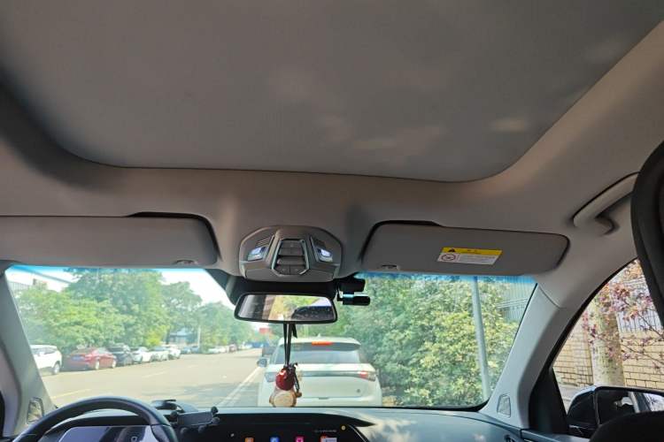 Used Baojun RS-7  Headliner