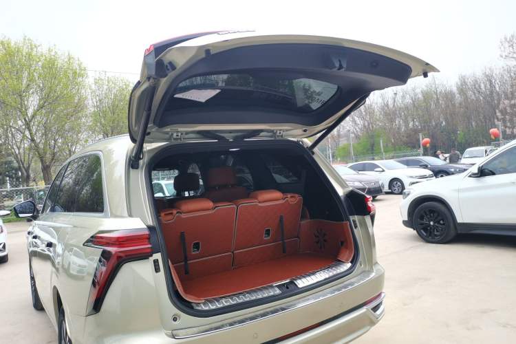 Used Wey Lanshan 2023 Four-Wheel Drive Ultra-Long Range Version Trunk