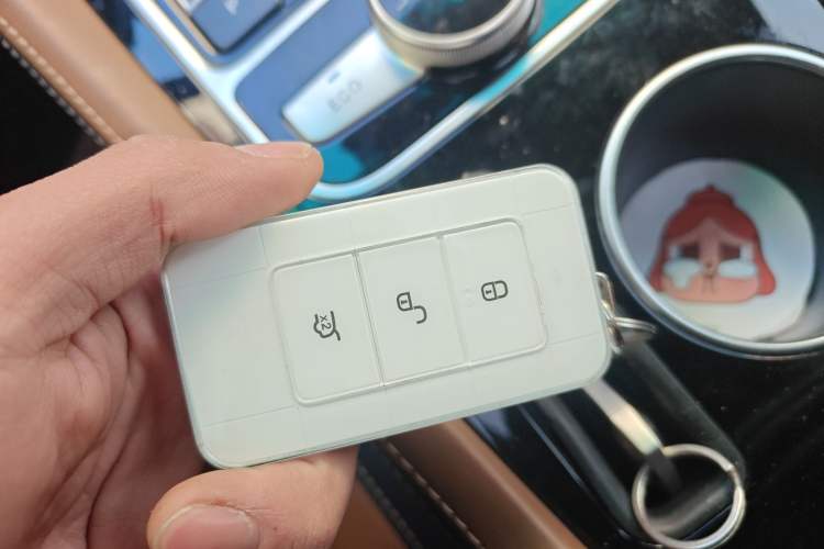 Used BYD Qin New Energy 2018 Qin EV450 Smart Connect Prestige Model