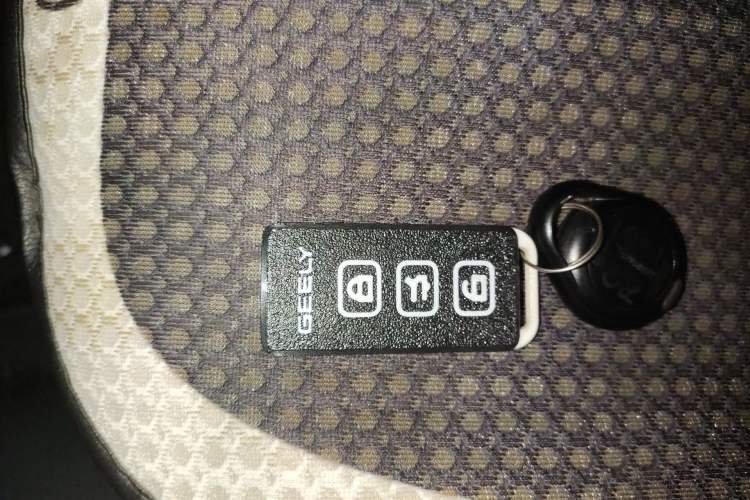 Used Geely Galaxy Panda 2024 Panda Mini 200km Endurance Bear Vehicle Key