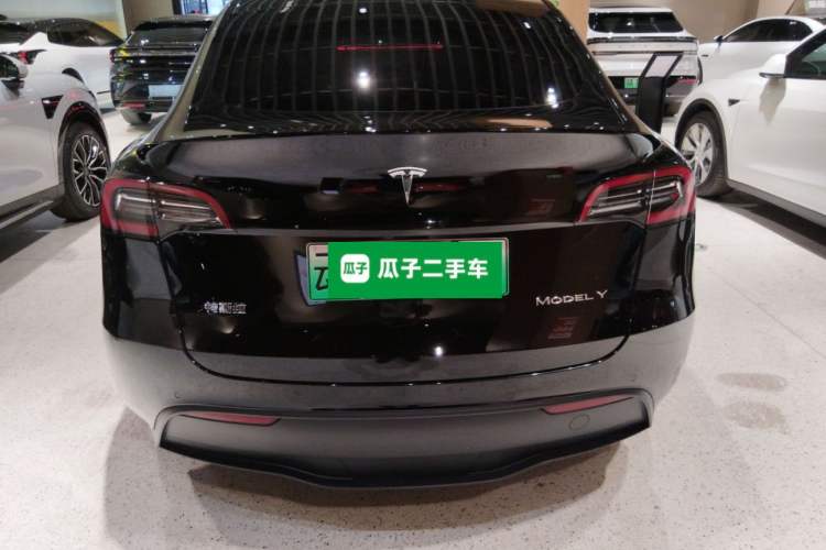 Used Tesla Model Y 2021 Standard Range Rear-Wheel Drive Version
