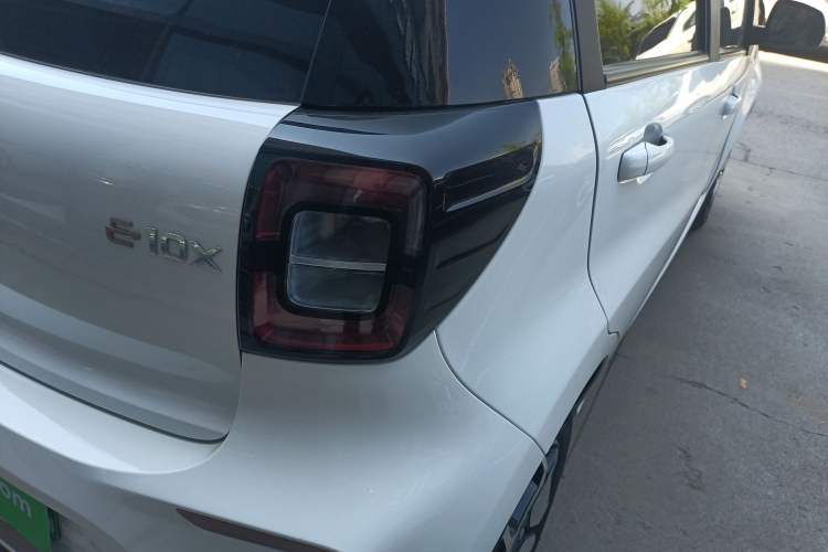 Used SOL E10X 2022 Flower Fairy Style Baby's Breath
