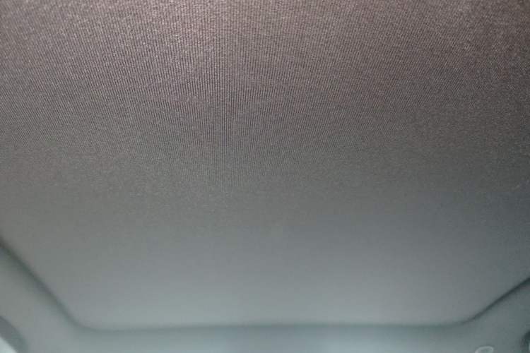 Used BYD Dolphin 2024 Honor Edition 420km Fashion Version Headliner