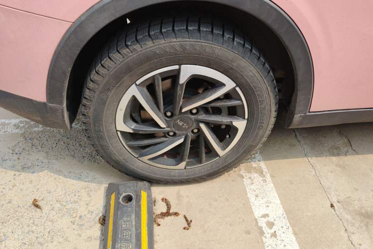 Used NETA V 2021 Witch Edition Right Rear Wheel Hub