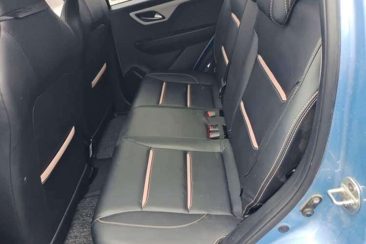 Used SOL E10X 2022 Flower Fairy Design Four-Leaf Clover
