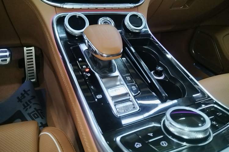 Used Hongqi H9 2020 2.0T Smart Connect Flagship Edition