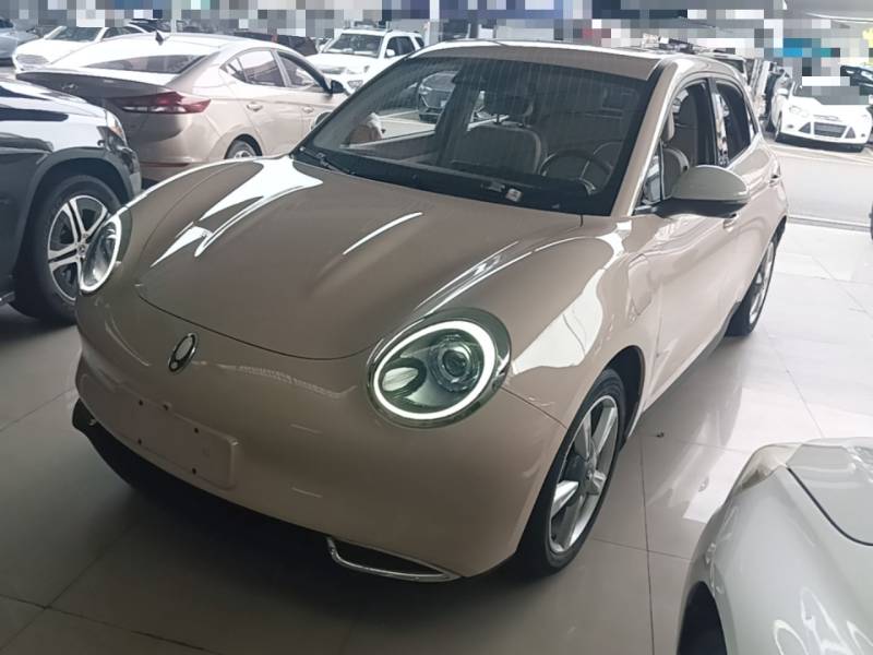 Used ORA Good Cat 2021 400km Standard Range Venus Edition Lithium-Ion Battery — 1