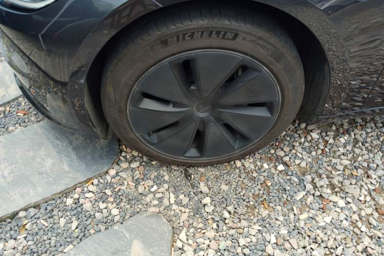 Used Tesla Model 3 2023 Rear-Wheel-Drive Version Exterior 4