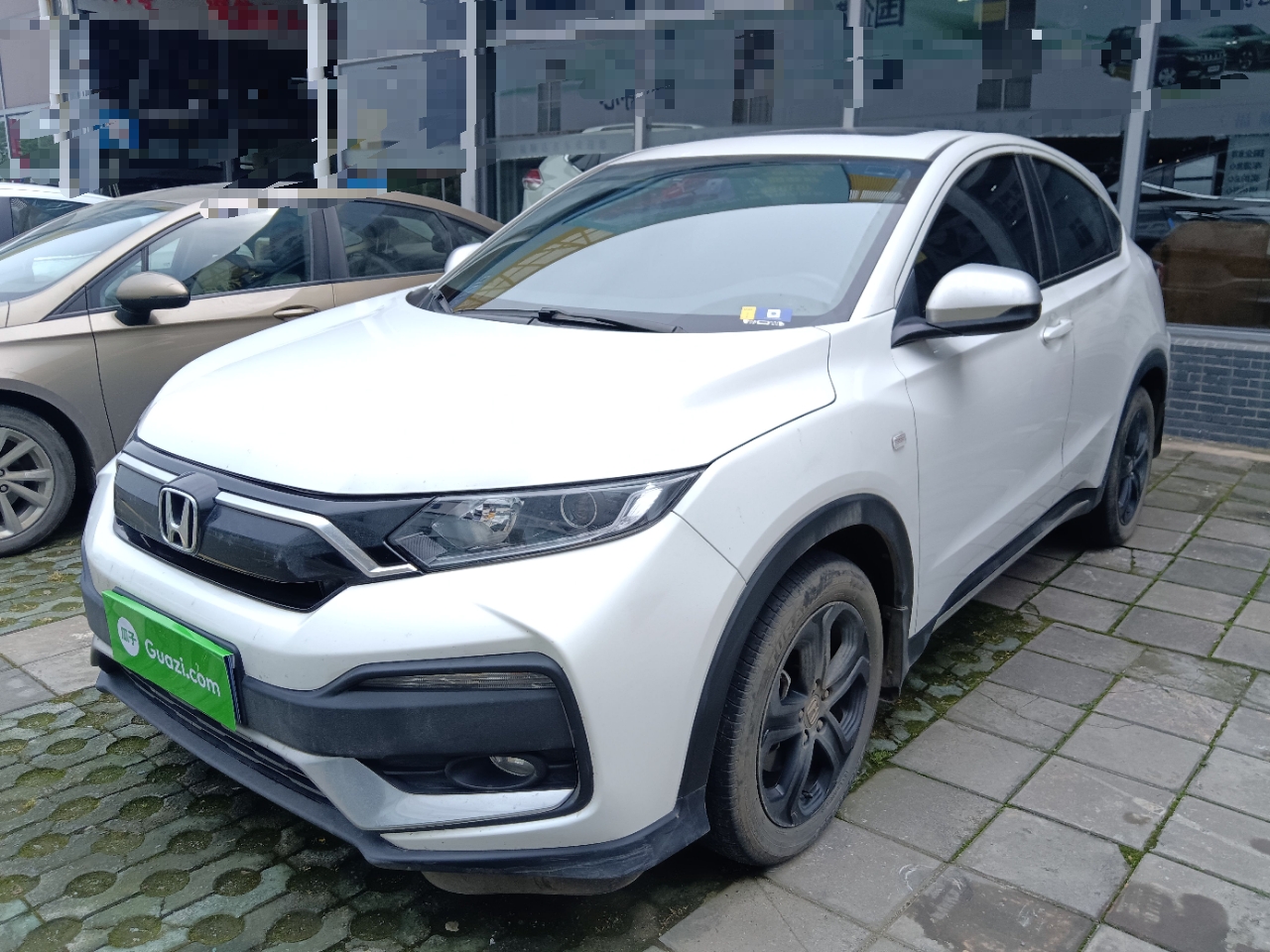 Parte inferior delantera