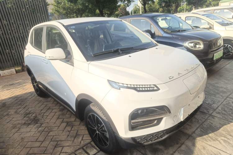 Used Dayun Yuehu 2023 300 Standard Edition
