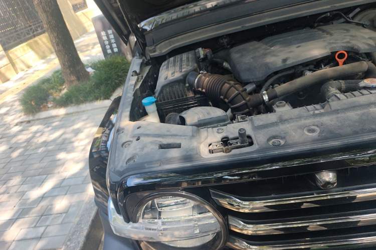 Used Tank 300 2021 City Edition 2.0T—Truly Stylish