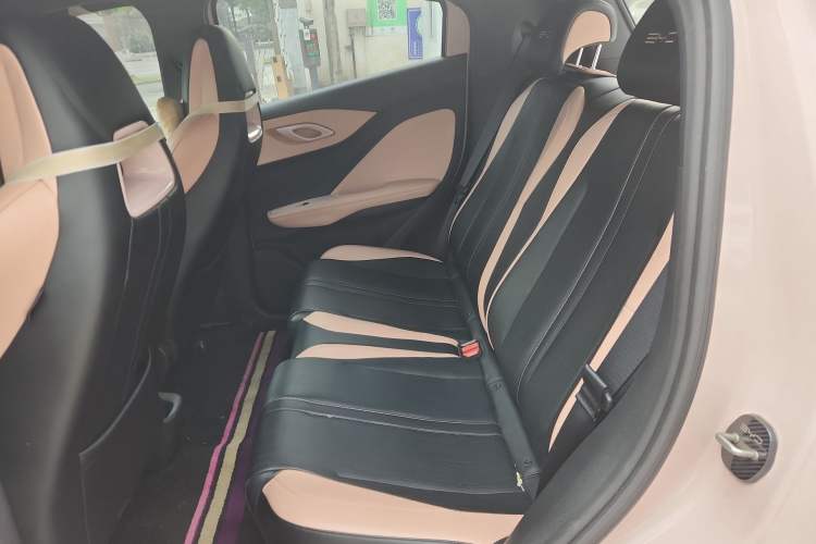 Used BYD Seagull 2023 Flying Edition Left Rear Seat