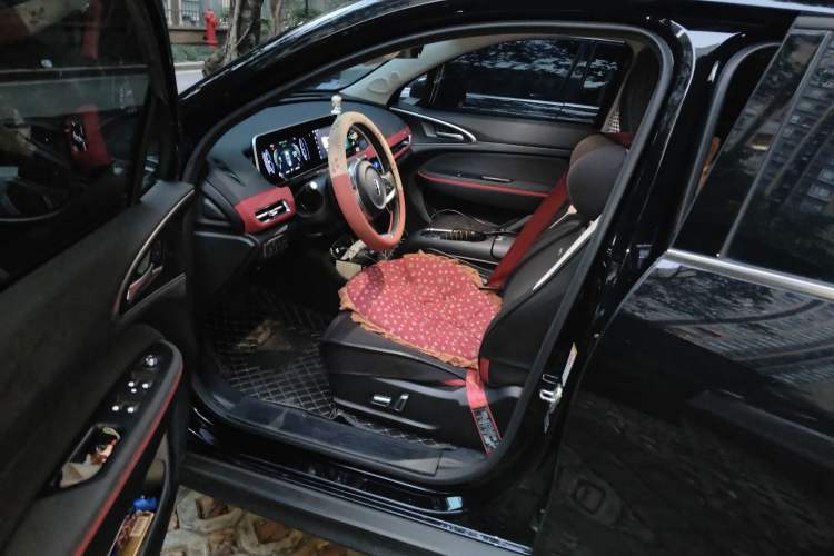 Used ORA Good Cat GT 2023 Mulan Edition 401km Luxury Version