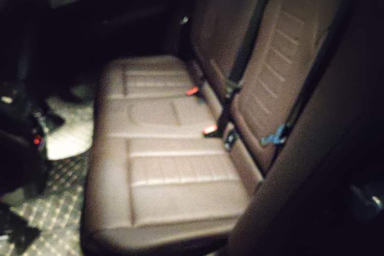 Used BMW X3 2018 xDrive25i Luxury Package China VI Emission Standard Left Rear Seat