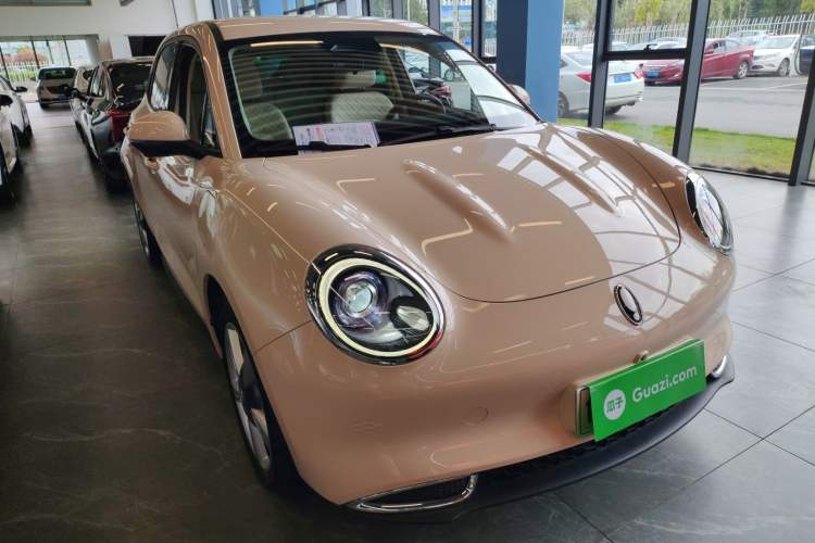 Used ORA Good Cat 2023 401 km Standard Range Luxury Version Ternary Lithium