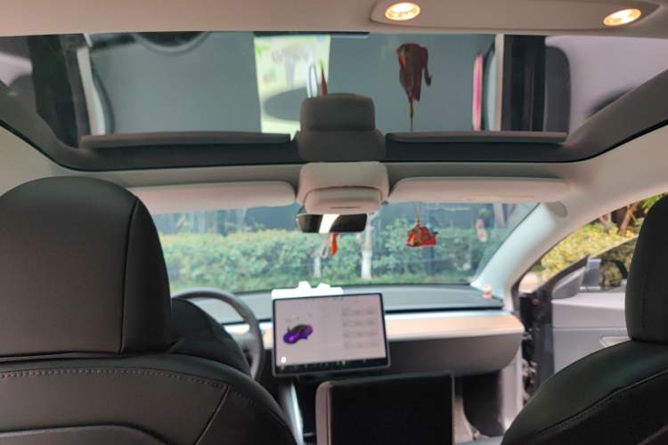 Used Tesla Model 3 2019 Standard Range Rear-Drive Upgraded Version