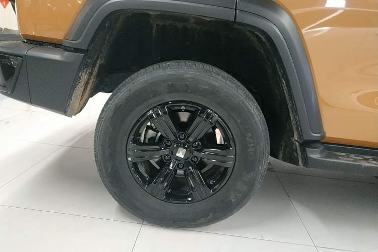 Used Tank 300 2024 2.0T Conqueror