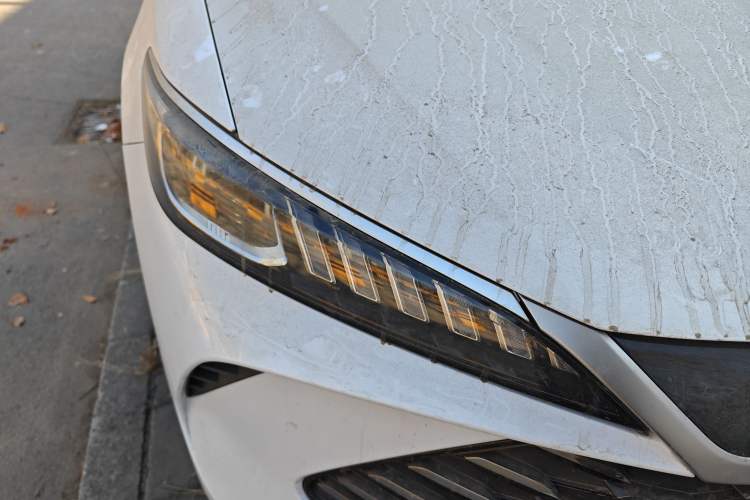 Used BYD Qin PLUS 2025 DM-i Smart Drive 55KM Leading Model