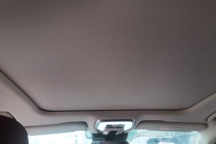 Used Hongqi H5 2024 2.0T Automatic Smart Connect Flagship Edition Headliner