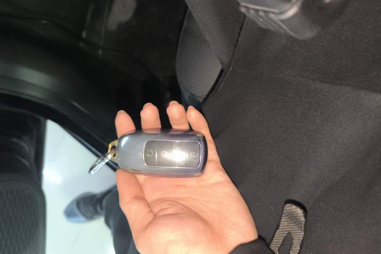 Used Fengyun A8 2024 127 Chasing the Wind Edition Vehicle Key