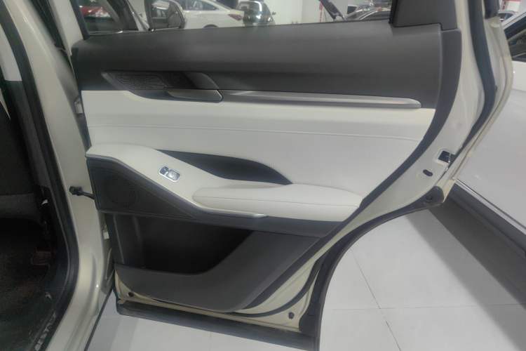 Used Haval H6 2024 2.0T Two-Wheel Drive Max