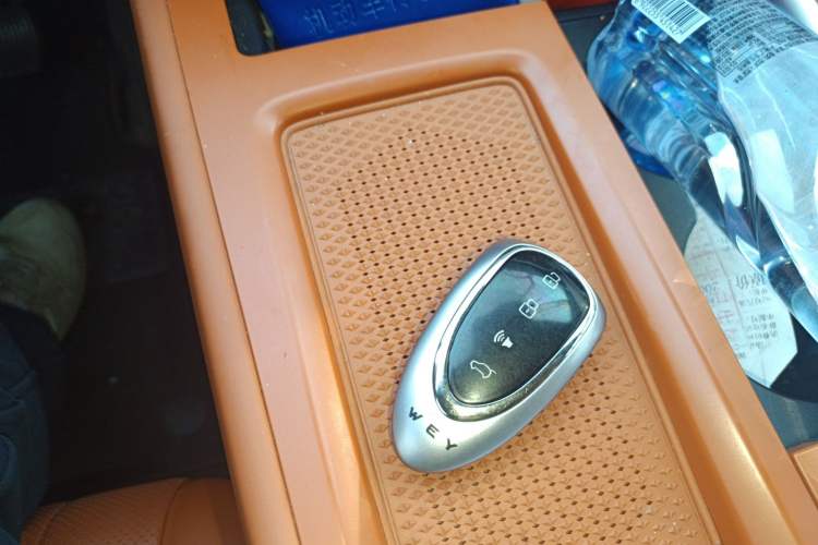 Used Wey Lanshan 2023 Four-Wheel Drive Ultra-Long Range Version