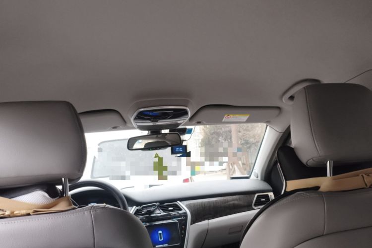 Used Denza 2017 Stylish Edition