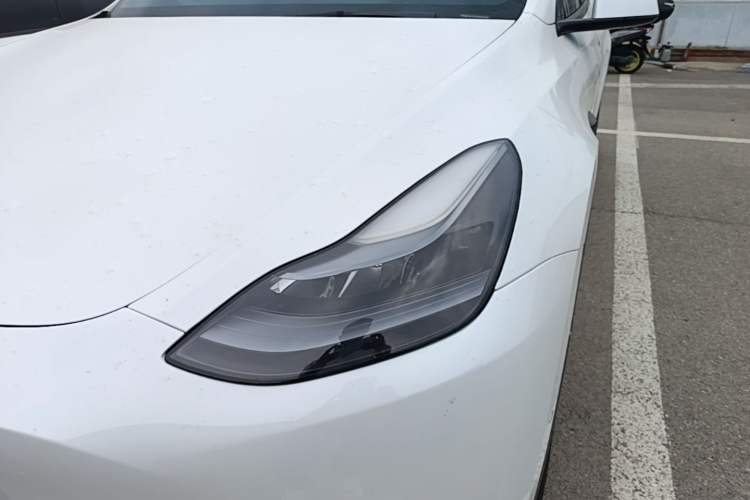 Used Tesla Model Y 2022 Long-Range All-Wheel-Drive Version
