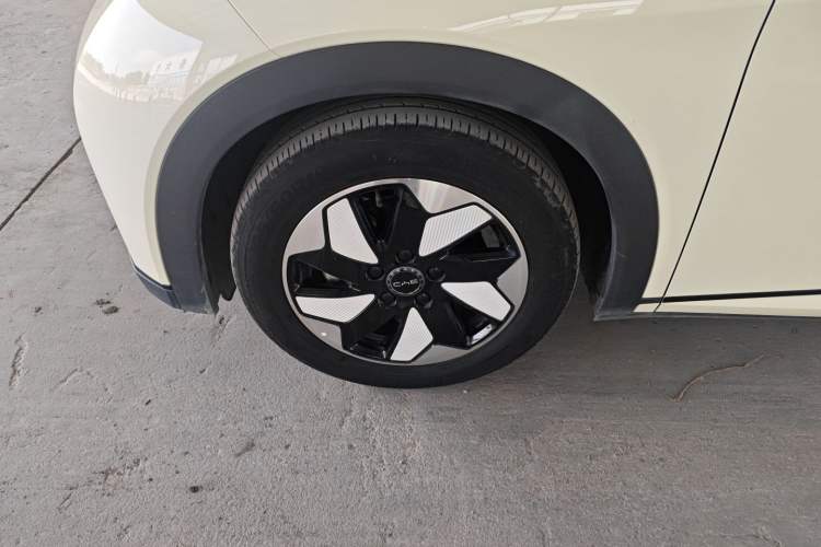 Used BYD Dolphin 2024 Honor Edition 420km Freedom Version Left Front Wheel Hub