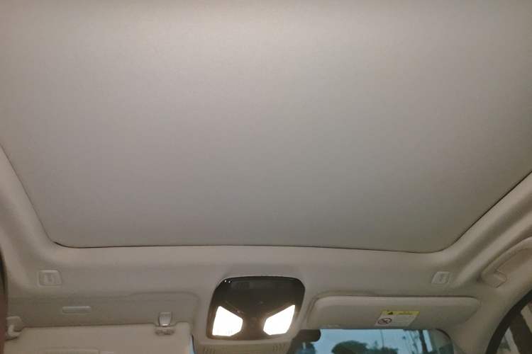 Used BMW iX3 2022 Leading Type Headliner