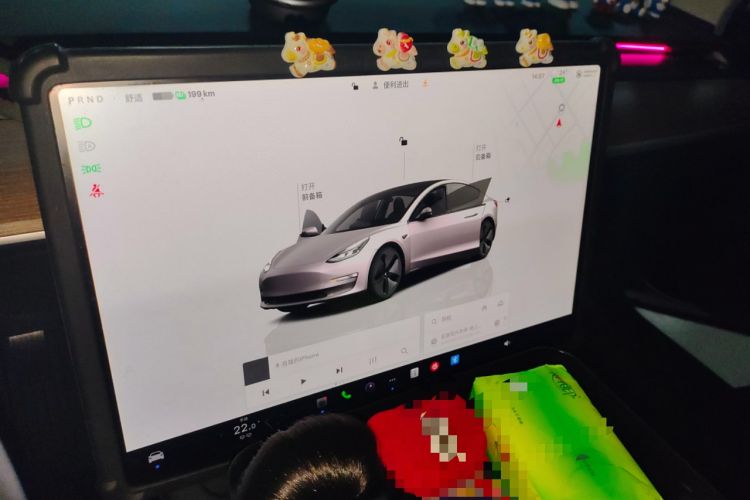 Used Tesla Model 3 2022 Rear-Wheel-Drive Version