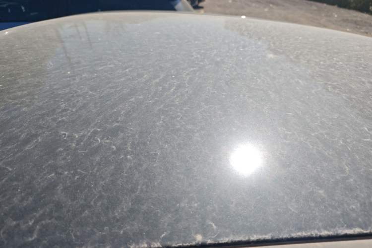 Used Hongqi E-QM5 2021 Online Booking Charging Basic Edition 5 Seats