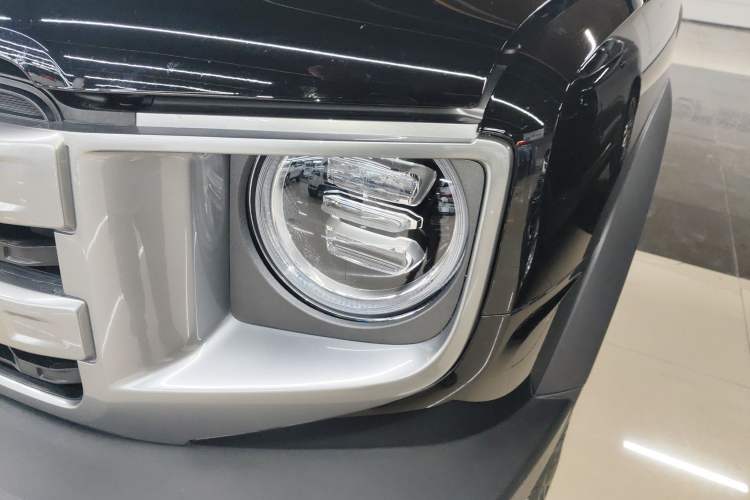 Used Haval DARGO 2024 2.0T DCT Chinese Rural Dog Edition
