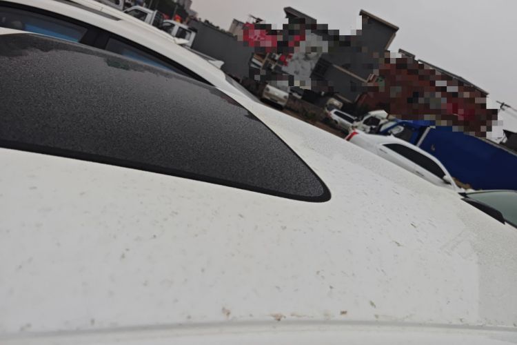 Used CHANGAN Eado DD 2023 Blue Whale NE 1.5T GDI DCT Luxury Edition
