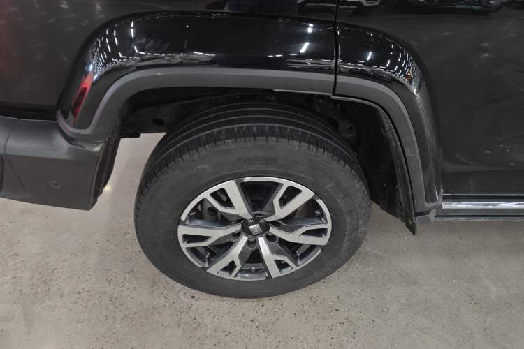 Used Tank 300 2024 2.0T Crosser