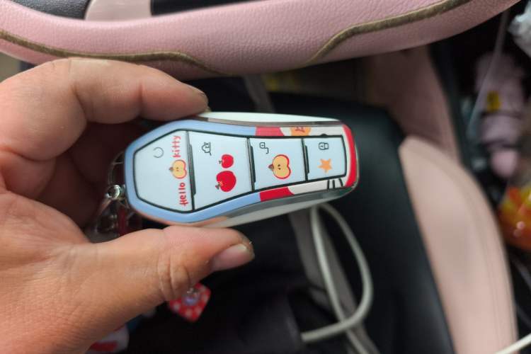 Used BYD Seagull 2023 Active Version Vehicle Key