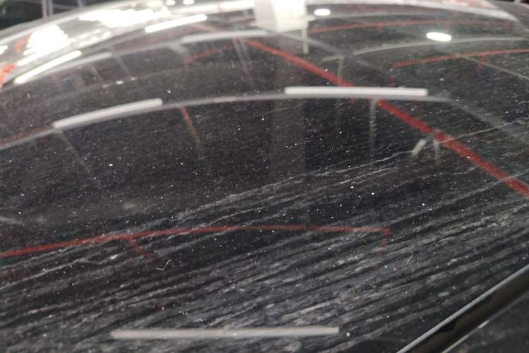 Used Tesla Model Y 2024 Rear-Wheel-Drive Version