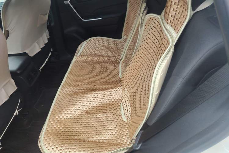 Used Toyota Wildlander 2024 2.0L CVT Two-Wheel Drive Leading Edition Left Rear Seat