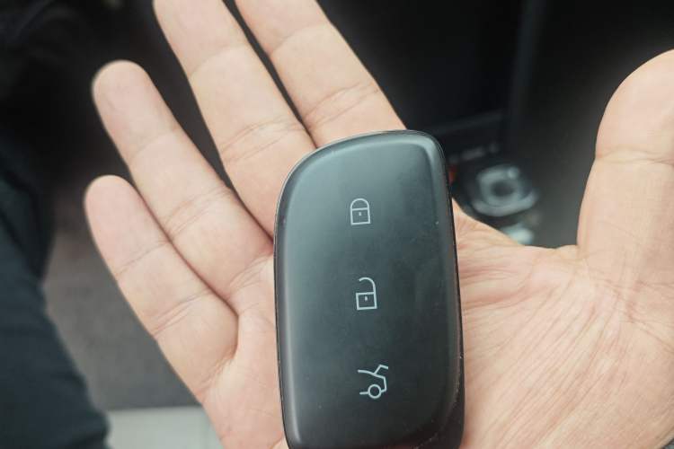 Used Lynk & Co Z20 2025 530 km Range Rear-Wheel Drive Max