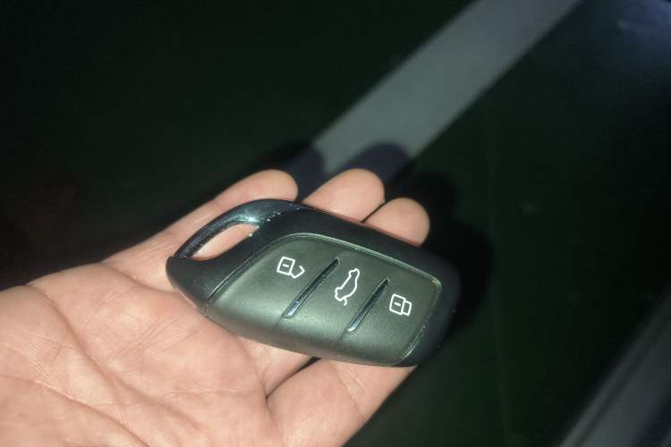 Used Rising ER6 2021 New Dynamic Edition 520km Smart Leading Version
