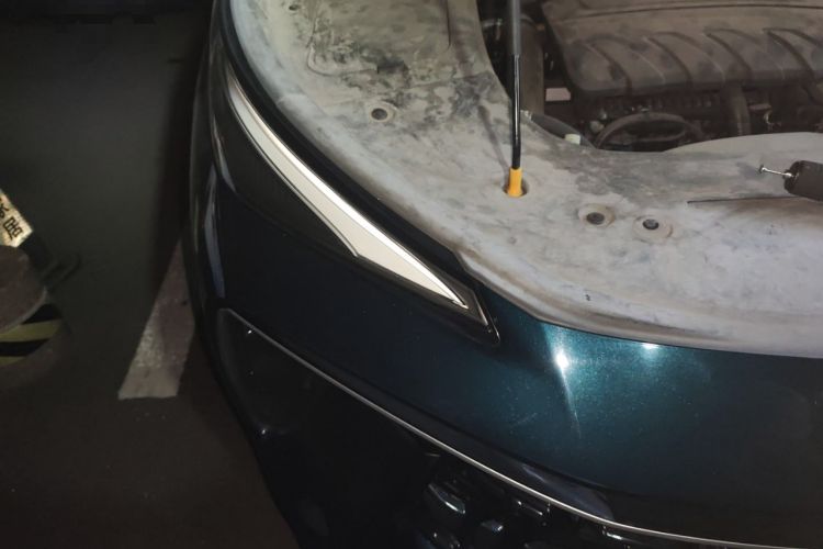 Used FORTHING T5 EVO 2021 1.5TD DCT Starry Edition