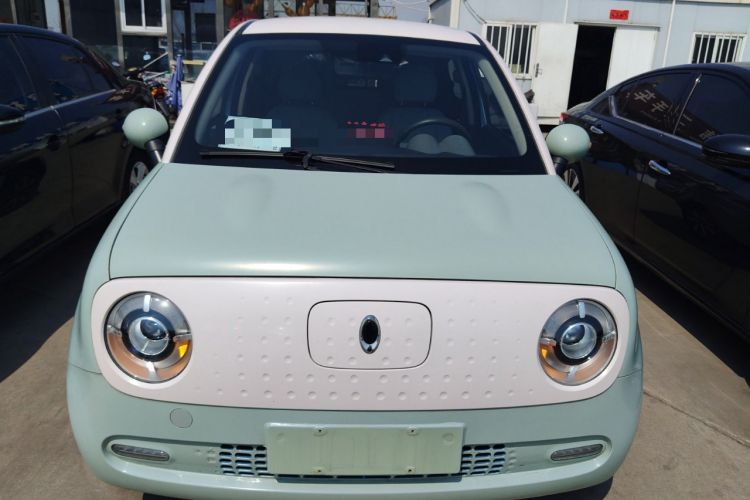 Used ORA Black Cat 2021 351 km Luxury Version Front