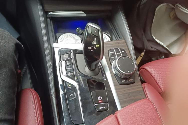 Used BMW 5 Series 2021 530Li Luxury Edition Premium Package Gear Lever