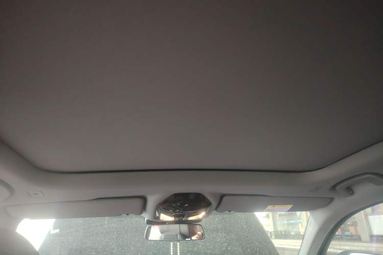 Used BMW 5 Series 2025 530Li Luxury Edition M Sport Package Headliner